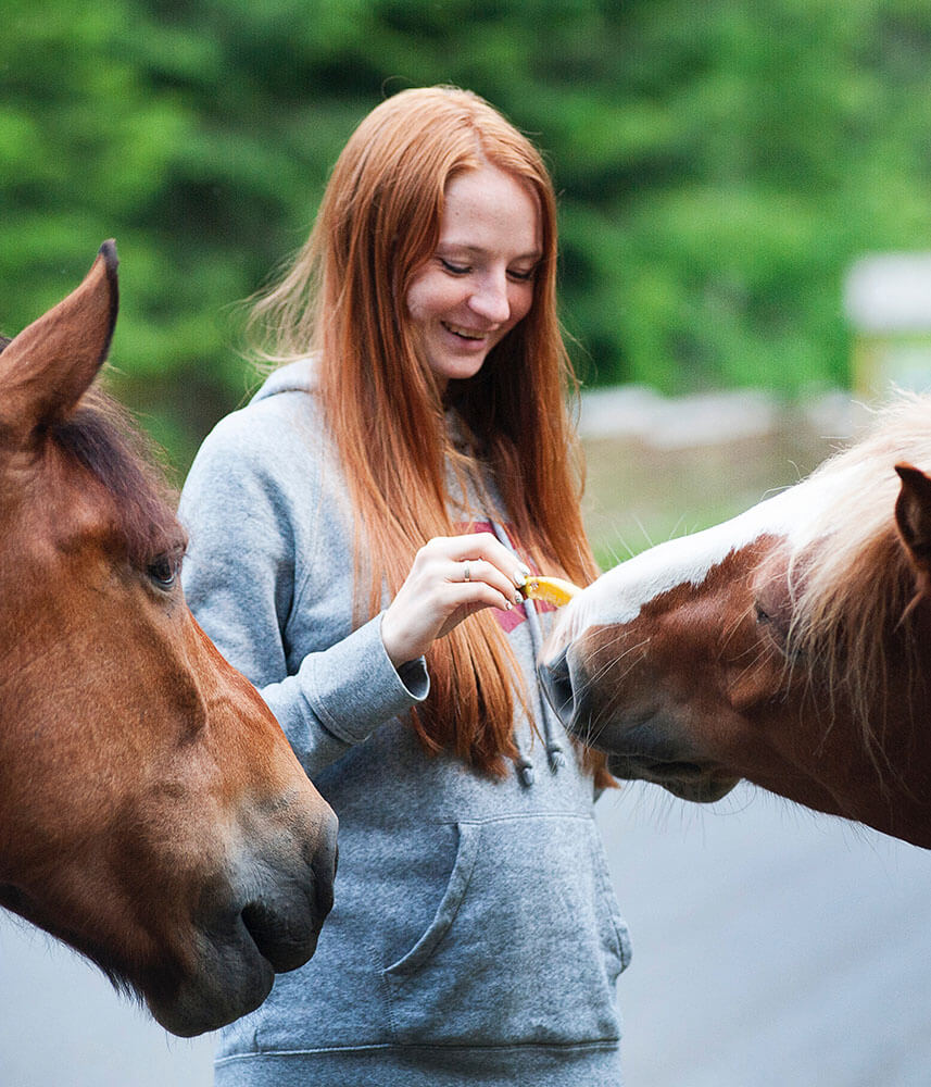 a woman feeding horses with a yellow flower