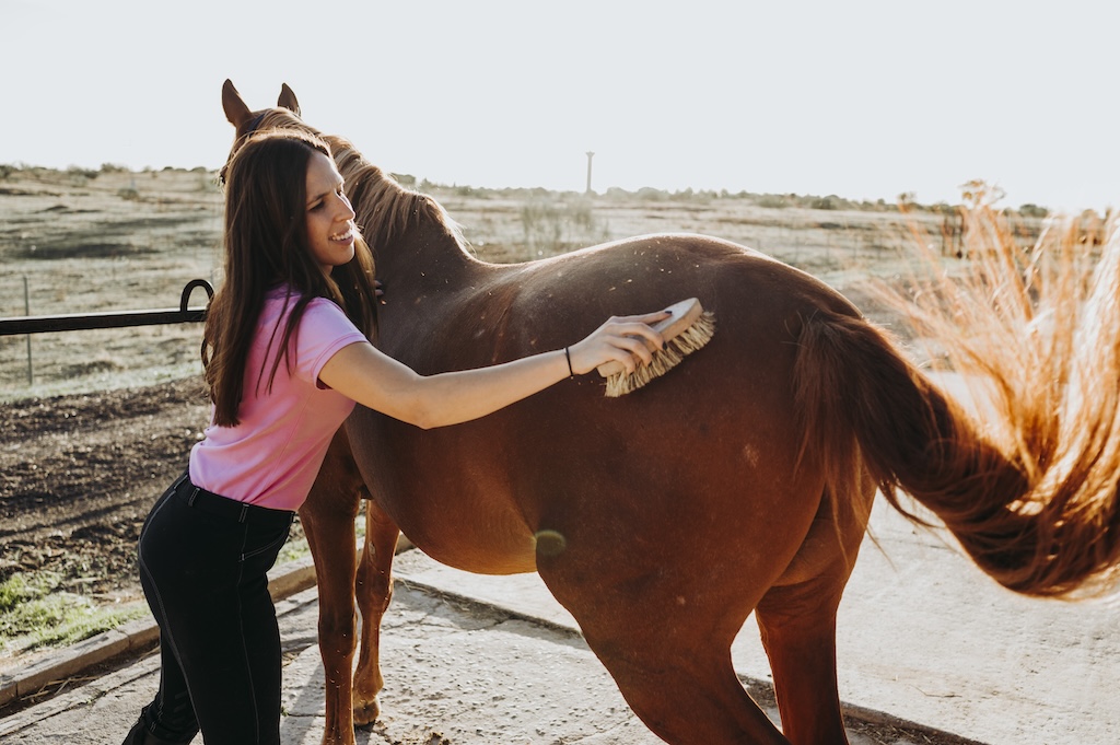 Animal Support Equine Interaction Anxiety Treatment Center San Bernardino Benchmark Transitions