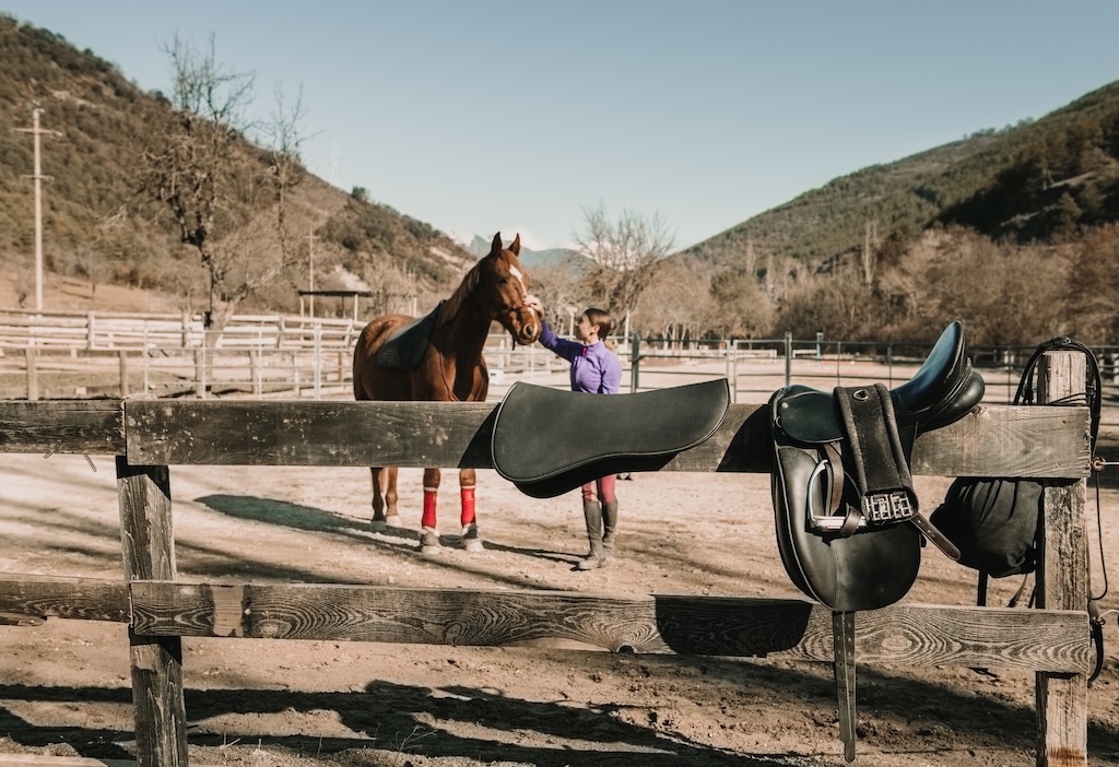 Woman petting horse on ranch