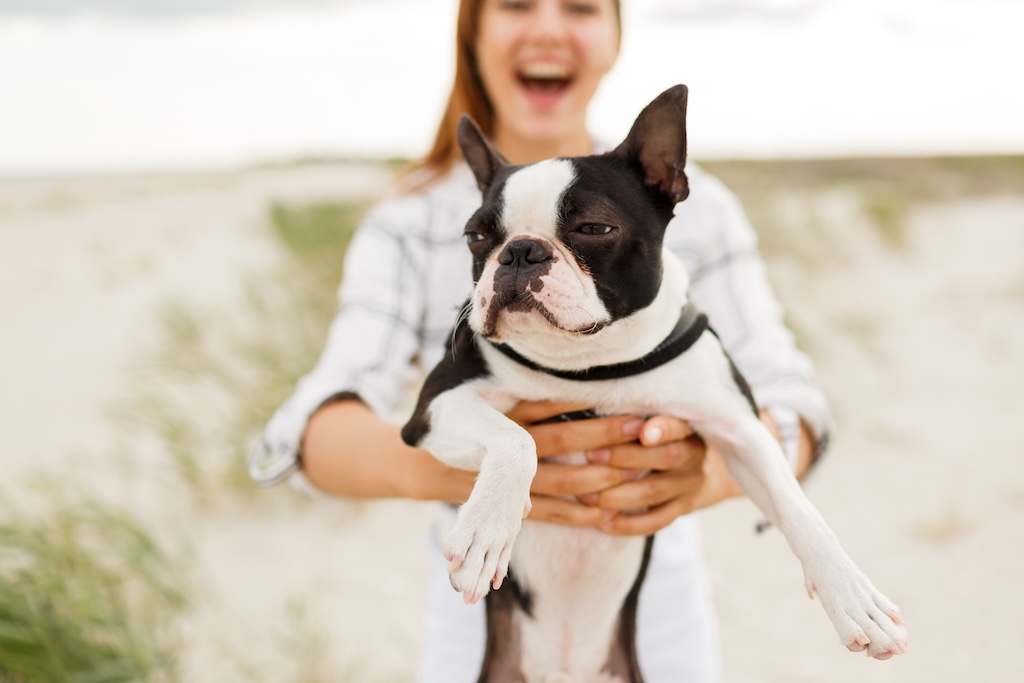 Happy woman with french bulldog on foreground